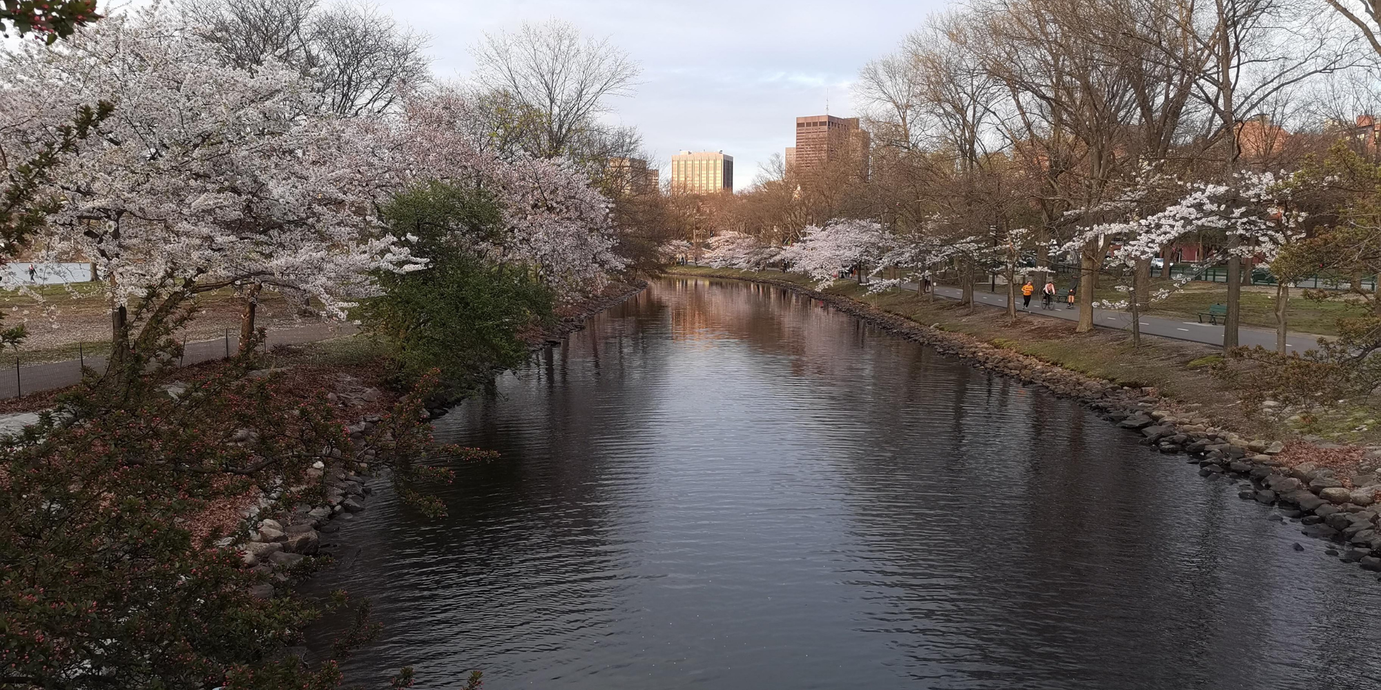 Spring rental market in Boston sees rising demand, growing apartment inventory, and increasing rent prices ahead of summer.